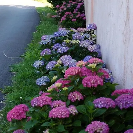 La Ferme De La Source Bed & Breakfast *